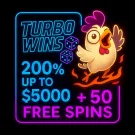 200% up to 5000 € + 50 Free Spins – Turbo Wins